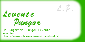 levente pungor business card